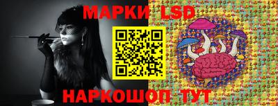 гидропоника Бийск