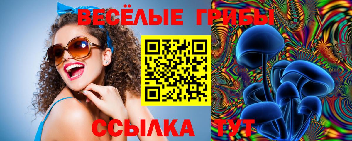 Псилоцибиновые грибы Cubensis Верхняя Салда