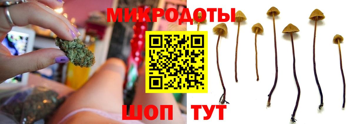 Верхняя Салда  Галлюциногенные грибы прущие грибы  Псилоцибиновые грибы прущие грибы  Вход с VPN 