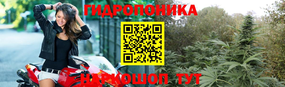 Каннабис Ganja Верхняя Салда